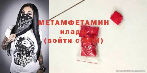трава Аркадак