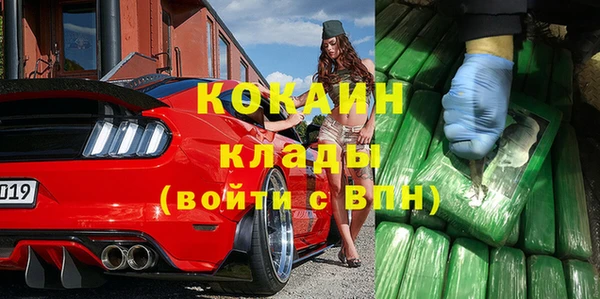спайс Алзамай
