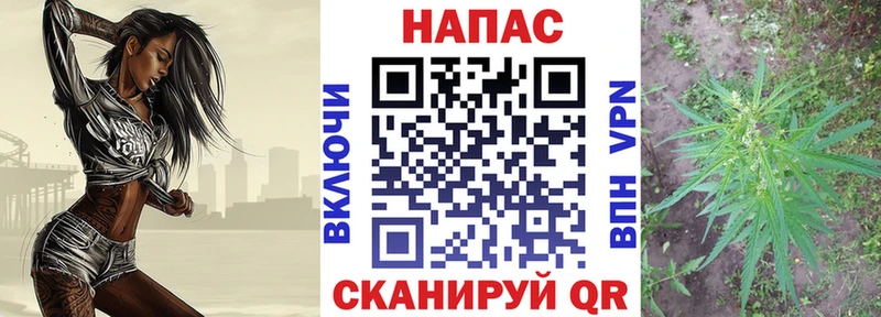 купить наркоту  Венёв  Бошки марихуана конопля 